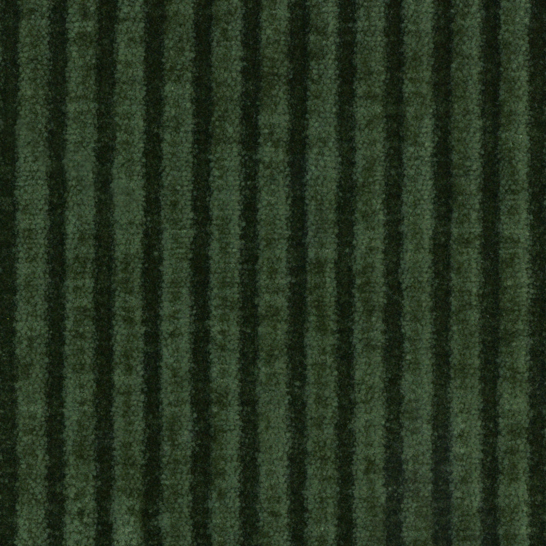 YASGOOR'S FARM