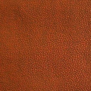Got Leather