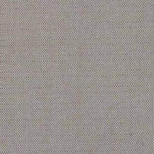 Sunshine On My Shoulder