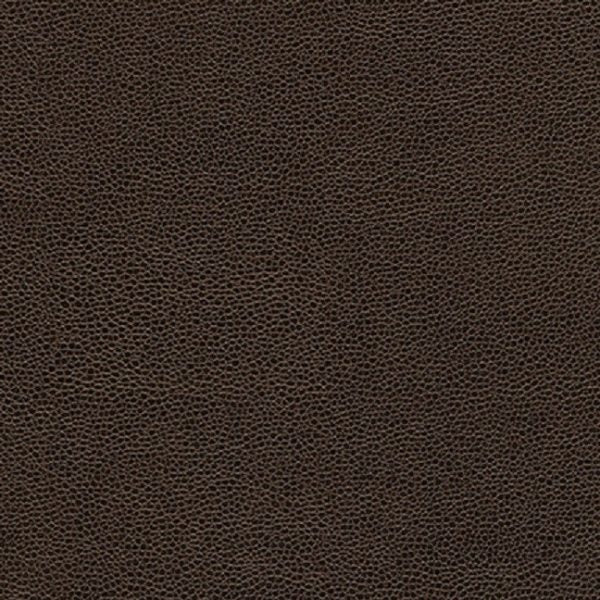 Got Leather