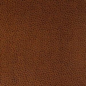 Got Leather