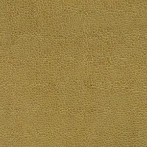Got Leather