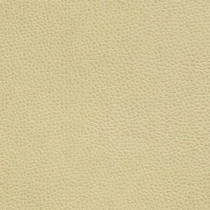 Got Leather